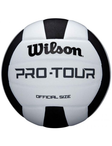 Volejbalový míč Wilson Pro-Tour WTH20119XB