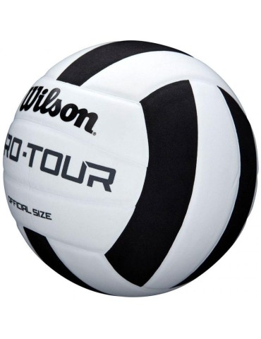 Volejbalový míč Wilson Pro-Tour WTH20119XB