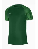 Nike Dri-FIT Academy (zelená)