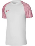 Nike Dri-FIT Academy (bílá)