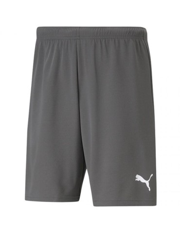 Šortky Puma teamRISE (šedá)