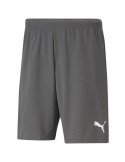 Šortky Puma teamRISE (šedá)