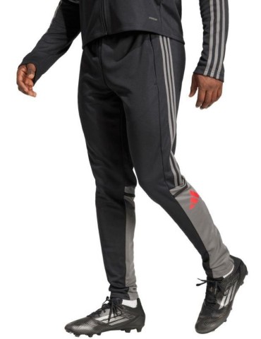 Tepláky adidas Squadra 25 Training M (černo-šedá)